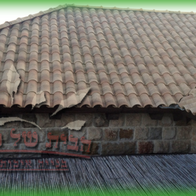 פרויקטי בנייה - עמנואל יזמות - צחי עמנואל